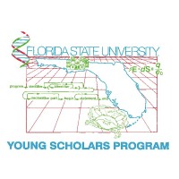 Florida State University Young Scholars Program Logo