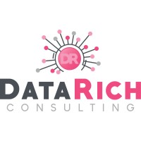 DataRich Consulting Logo