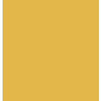 TrentonReed.com Logo