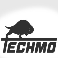 Techmo Car S.p.A. Logo