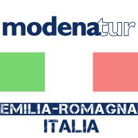 Modenatur Logo