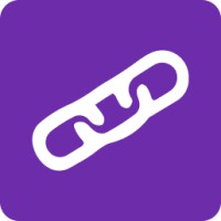 eBelong - Your Remote Tech Talent Partner Logo