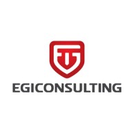 EGI Consulting - a Dallas, TX based MBE firm Logo