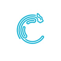 The Content Catapult Logo
