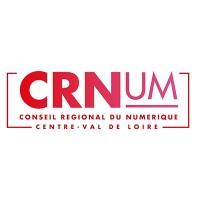 Conseil Régional du Numérique Logo