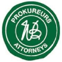 Nelson Borman & Partners Inc. Logo