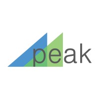 Peak Engagement Strategies Logo