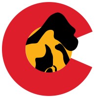 DenverGS Logo