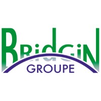 GROUPE BRIDGIN Logo