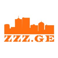 ZZZ.GE Logo