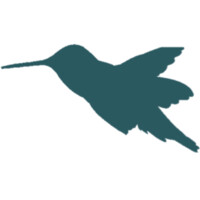 Colibri Conseil Logo