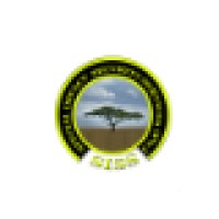 Special Impact Security Services Logo
