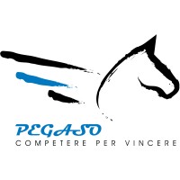 Pegaso Srl Logo