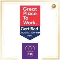 PNG Jewellers Logo