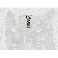 WiSEngineers, Inc. Logo