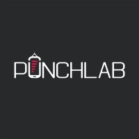 PunchLab Logo