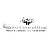 Voto Consulting LLC Logo