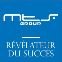 MEGA TECHNOLOGY SERVICES GROUP Logo