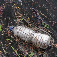 NoPlasticApp Logo