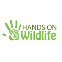Hands on Wildlife Logo