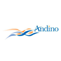 Andino Holdings USA LLC Logo