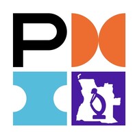 PMI ANGOLA CHAPTER Logo