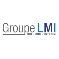 Groupe LMI Logo