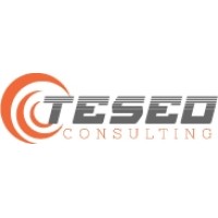 TESEO CONSULTING Logo