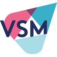 Vision Strategy Marketing Logo