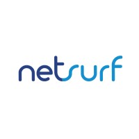 Net-Surf.Net Ltd. Logo