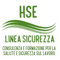 HSE Linea Sicurezza Srls Logo