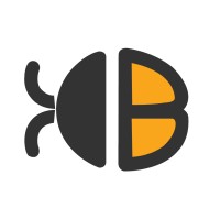 BugsBD Limited ( Your Cyber Security Partner) Logo