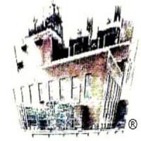 Netshows Logo