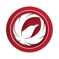 AltoFocus - Time-Lapse & Drone Filming Logo