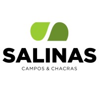 SALINAS Logo