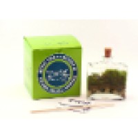 Twig Terrariums Logo