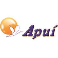 Apui Taxi Aereo Logo