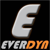 EVERDYN Logo