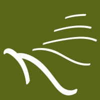 Studio Seta Logo