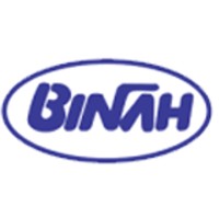 Binah Consultoria Empresarial Logo