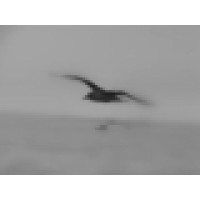 INCOMAR INSPECTION EXPERTISE CO LTD Logo