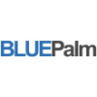 BLUEPalm B.V. Logo