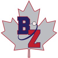 The Baseball Zone Logo