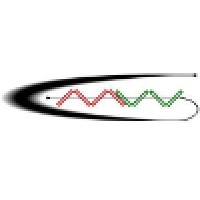 Chasewater Moving Wallls Logo
