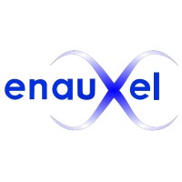 Enauxel S.r.l. Logo
