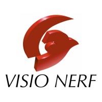 VISIO NERF Logo