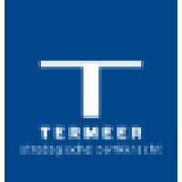 Termeer Strategische Denkkracht Logo