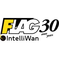 Flag Intelliwan Logo