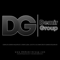 Demir Group Logo