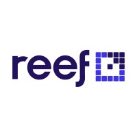 Reef Digital Agency Logo